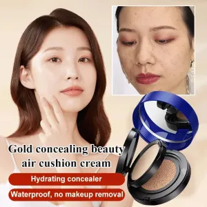 2 in 1 Cushion Pressed Powder Concealer Liquid Foundation