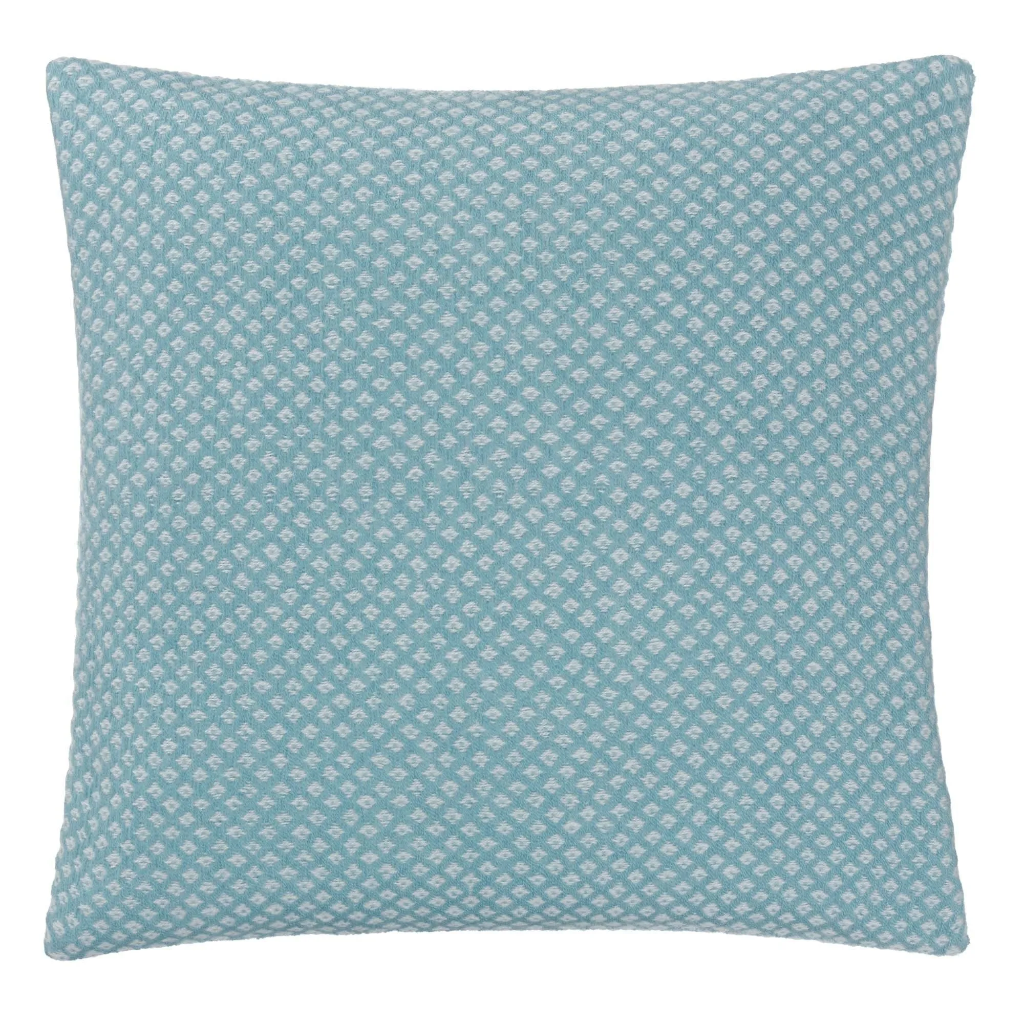 Alashan Cushion [Mint/Cream]