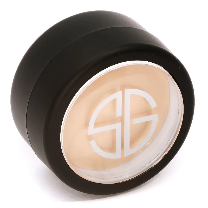 HIDDEN AGENDA CONCEALER