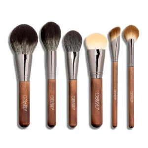 PRO FACE RETOUCHER BRUSH SET